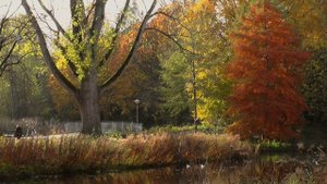 Helene Fischer - Let me in your life