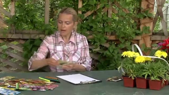ДИЗАЙН ЦВЕТНИКОВ И ПОСАДКА ЦВЕТОВ СВОИМИ РУКАМИ Общие принципы и пошаговое руководство смотреть онлайн