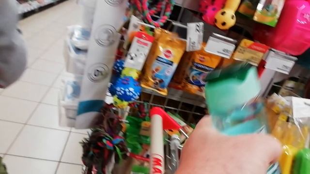 Прогулка по магазинам.Творожная запеканка смотреть онлайн