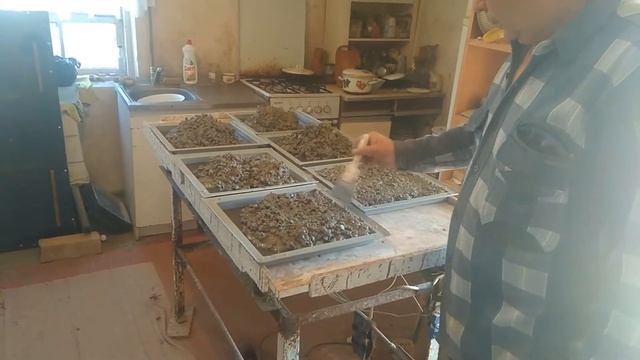 Заливка цветной тротуарной плитки часть 2 смотреть онлайн