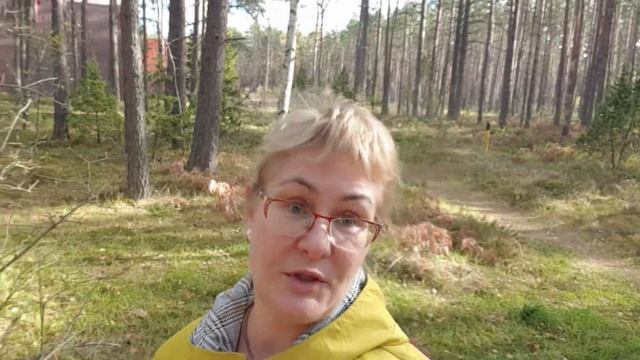 Дачный влог.Утро в сосновом лесу.Работа на участке.Едем домой.Расхламление кладовки.Влог из Эстонии