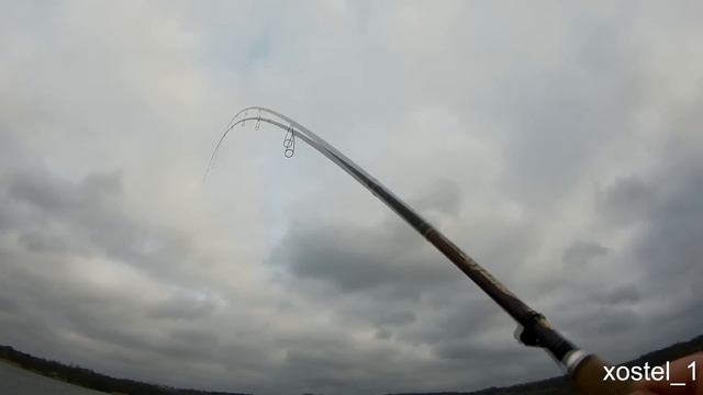 Да что это за волшебная снасть для ловли рыбы... #215 смотреть онлайн