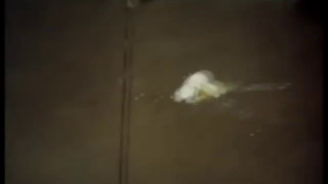 Покровские ворота. Кулинар!