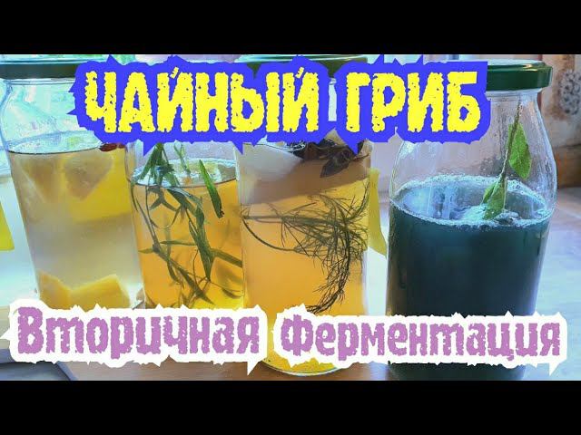 Таких Рецептов Вы Точно Не Знаете!  ВТОРИЧНАЯ ФЕРМЕНТАЦИЯ Чайного Гриба Kombucha/4 Новых Рецепта