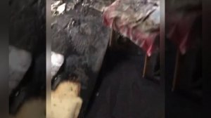 Предупреждение детской гибели на пожарах