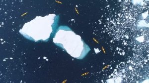 География 7кл. §33 "Антарктида"