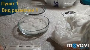 Как РАЗМОЧИТЬ ЖУКА перед препарированием/ How to soak a beetle before preparation