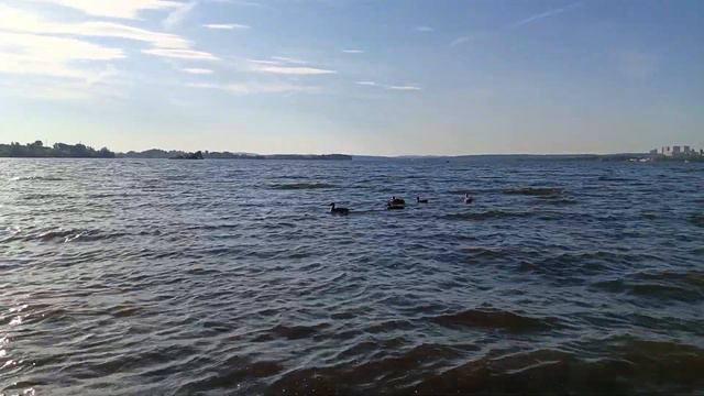 14.08.2023 Верх Исетский пруд смотреть онлайн