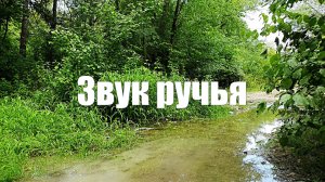 Лесной Ручей. Журчание Воды со Звуками Природы для медитации