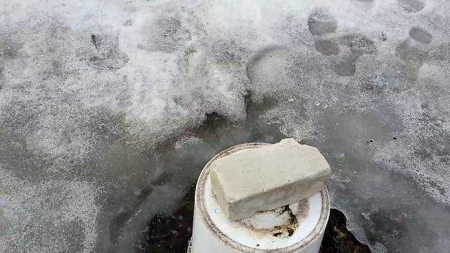 Когда лучше начинать обрезку персика... смотреть онлайн