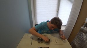 КАК ПОСАДИТЬ ЛЮПИН? ПРОЩЕ ПРОСТОГО! Люпины посадка и уход.