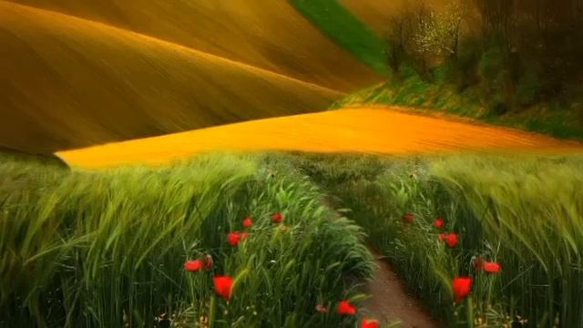 Истории из жизни. Мальчик подбежал к миллионеру и назвал своим отцом. Рассказы из жизни. смотреть онлайн