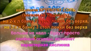 Холодный способ засолки огурцов без уксуса.Старый русский рецепт колодезной водой