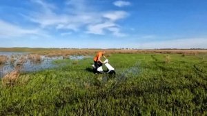 Альфа?️ или скутер?, тест на прочность, часть 2