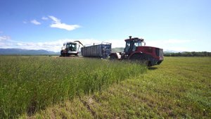 На Камчатке началась заготовка кормов для животных