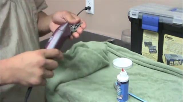 Proper Blade Maintenance: How to Clean & Oil Clipper Blades смотреть онлайн