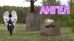 "АНГЕЛ" - клип в память о МотоТане