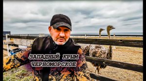 Черноморское сегодня 2024 Парк Комсомольский Набережная Прогулка по посёлку Мостки и Страусы