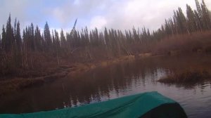 Водомет Карась - очистка интейка от травы на реверсе.