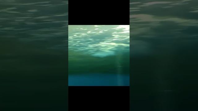 ОКЕАНАРИУМ г.Астана, развлекательного центра «Ailand»