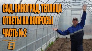 САД, ВИНОГРАД, ТЕПЛИЦА. №2 ОТВЕТЫ НА ВОПРОСЫ. ПРЯМЫЕ ТРАНСЛЯЦИИ