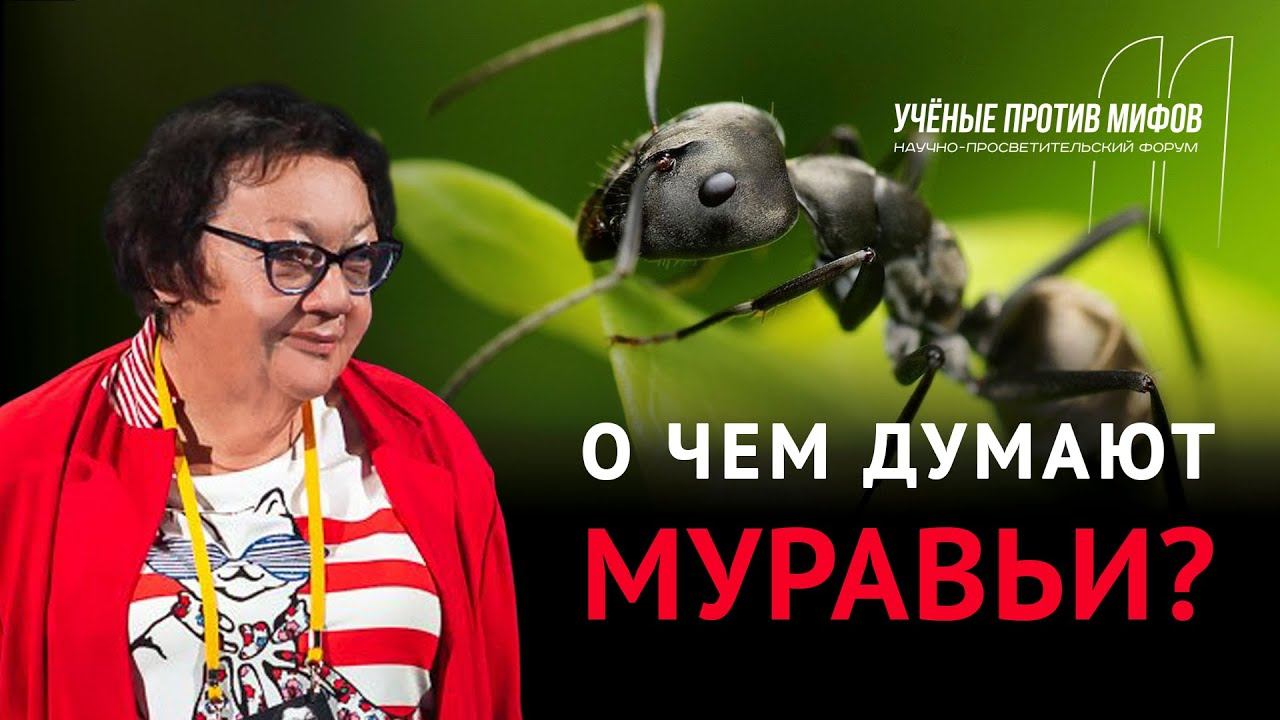 Мифы о муравьях. Жанна Резникова. Ученые против мифов 11-3