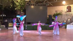 425  Студия восточного танца «Камелия»  Танец с веелами г Белоярский