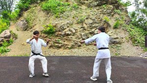 Работа с дзё в Айкидо. Дзё Шита Кара но Хараи