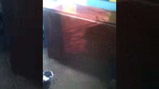 Киска смотреть онлайн