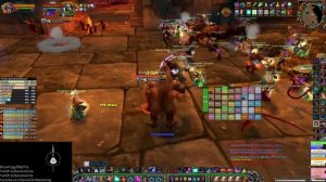 WoW Classic #379 🔴 - Fusion Incendius - Feral Druid - AQ40 / BWL / MC