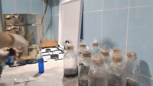 ПОСЕВ СЕМЯН ОРХИДЕИ В ПИТАТЕЛЬНУЮ СРЕДУ.