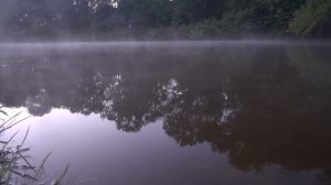 Одиночная ночёвка в палатке у реки / Мой первый опыт / Ночь, роса и солнце