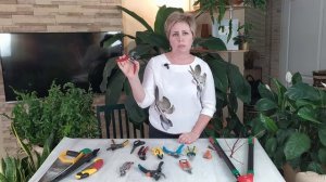 СЕЗОН 2020: ОБЗОР ИНСТРУМЕНТА ДЛЯ ОБРЕЗКИ САДА / Садовый гид