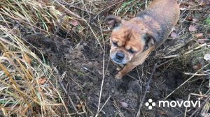 ((( СУРОВЫЙ КОП ПО МЕТАЛЛУ )))