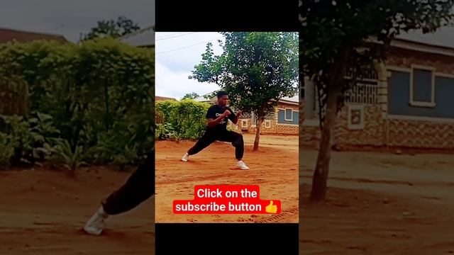 learn the basics movement on WUSHU #love #china #kungfu  #subscribe #taichi #karate #love   #wushu