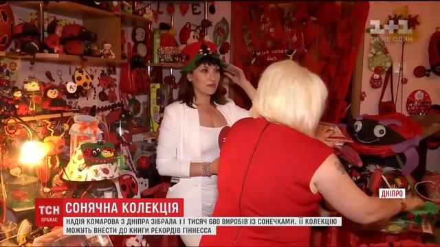 тсн 25 08 18 Комарова Надежда божьи коровки самая большая коллекция в Украине смотреть онлайн