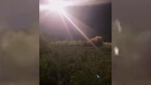 Экипажи ТОС «Солнцепек» ГрВ «Восток» из Бурятии уничтожили укрепрайон ВСУ