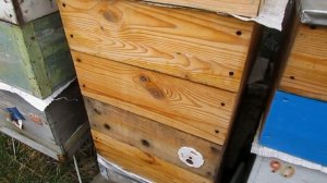 пополнение зимних кормовых запасов у пчел осенью - один из вариантов подкормки пчел