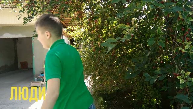 ??ЖИЗНЬ КОТОВ VS ЖИЗНЬ ЛЮДЕЙ.?? смотреть онлайн