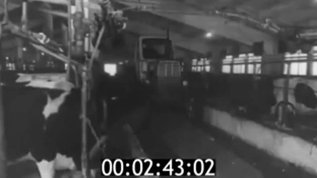 1982 collective farm Forward to communism Zelenograd district Kaliningrad region смотреть онлайн