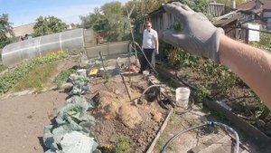 Как найти питьевую воду за 2 часа на своем участке?