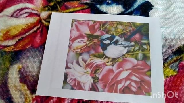 Хочу два финиша, какую ротацию придумать?? смотреть онлайн