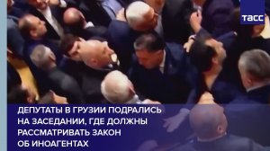 Депутаты в Грузии подрались на заседании, где должны рассматривать закон об иноагентах