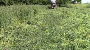 Сегментна косарка.