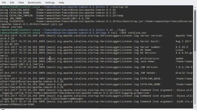 How to install and configure Apache Tomcat 8.5 in Linux Mint 18.2