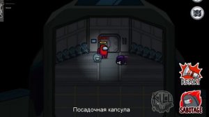 ПРЯТКИ в Among Us –Машка Убивашка ПРЕДАТЕЛЬ?