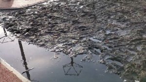 Дети грязи не боятся