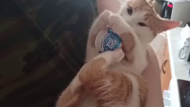 отняли игрушку у ребёнка.mp4