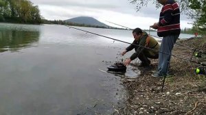 РЫБАЛКА НА НОВОПЯТИГОРСКОМ ОЗЕРЕ??