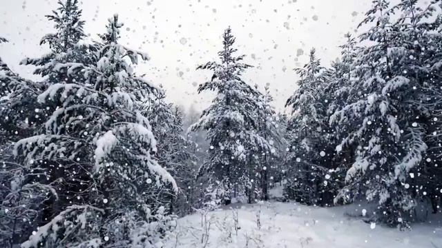 Невероятно красивая Музыка Зимы - Снегопад Сергея Чекалина! Завораживающая мелодия, Наслаждайтесь!!